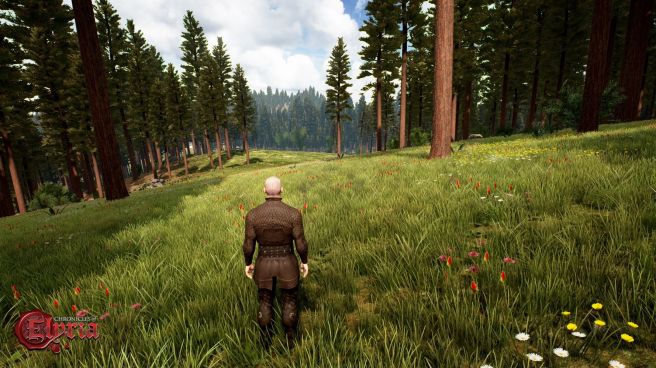 A boreal forest in Chronicles of Elyria.